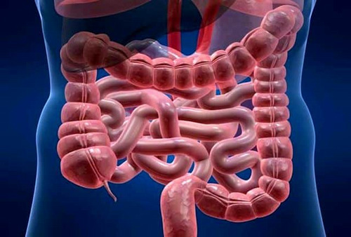 Global Research Trends on Colorectal Cancer (2014-2023): A Scientometric and Visualized Study